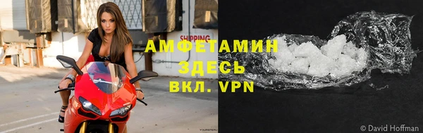 стаф Белокуриха