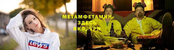 прущие грибы Новозыбков