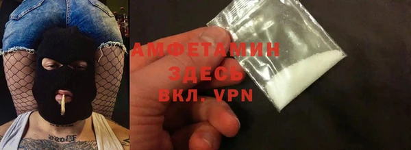 шишки Корсаков