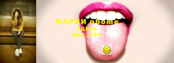 шишки Корсаков