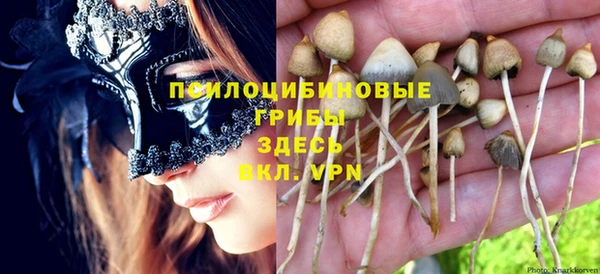 mdpv Костерёво