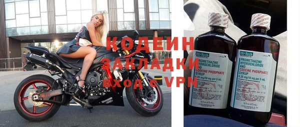 шишки Корсаков