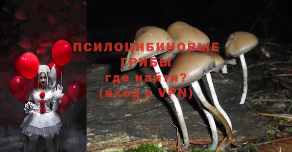 мдма Коряжма