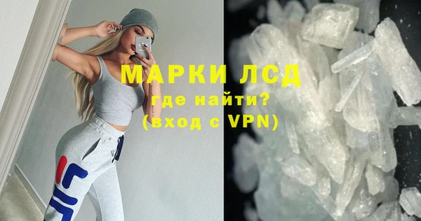 шишки Корсаков