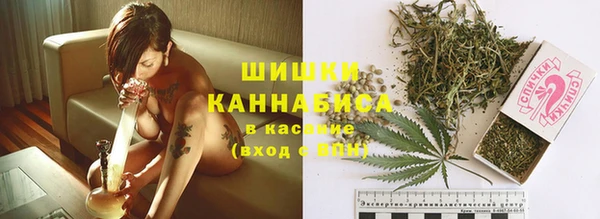 mdpv Костерёво