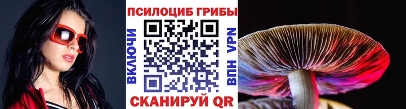 Псилоцибиновые грибы Cubensis  как найти   Артём 